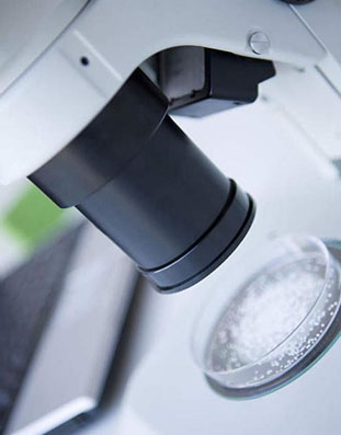 �݆����̎��